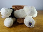 Foto 10 di 10