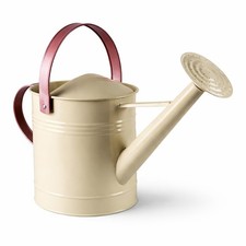 Metal Watering Can with Sprinkler Nozzle and 4.5 Litre Capacity