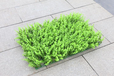 Plant Background Wall Eucalyptus Encryption Globulus Grass 23.6*15.7*3.15in
