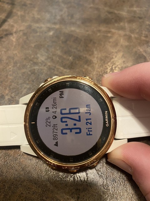 fenix 5s plus ebay