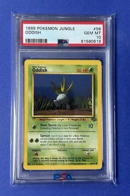 lycanroc pokemon card POKÉMON CARD GAME S7D 080/067 HR Lycanroc VMAX