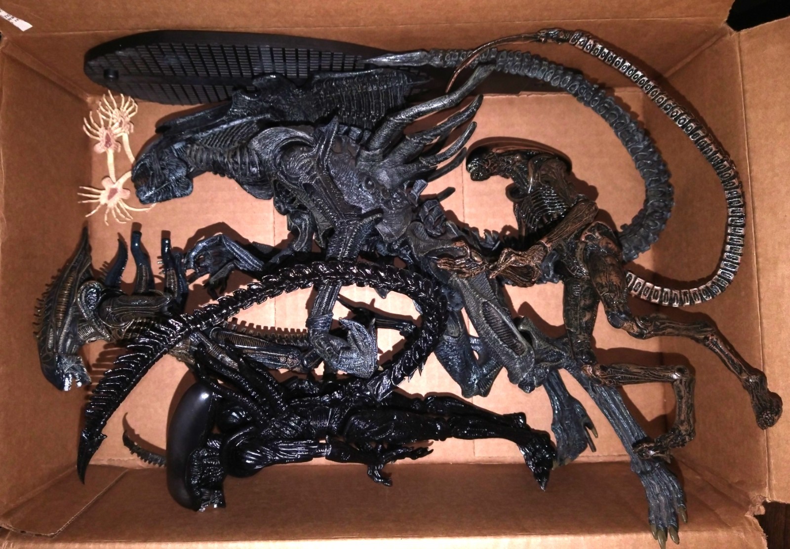S Lot 1 Queen & 3 Xenomorphs With 3 Facehuggers