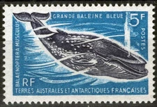FSAT TAAF 25 MNH Great Blue Whale Marine Life Animals Antarctic ZAYIX