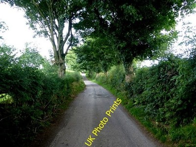 Foto 6x4 Blackfort Avenue, Blackfort Richtung NNW c2016