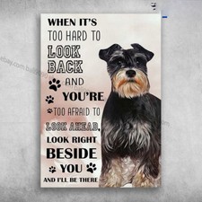 Schnauzer Dog - When It's Too Hard To Look Back, And You're Too Afraid To Loo...