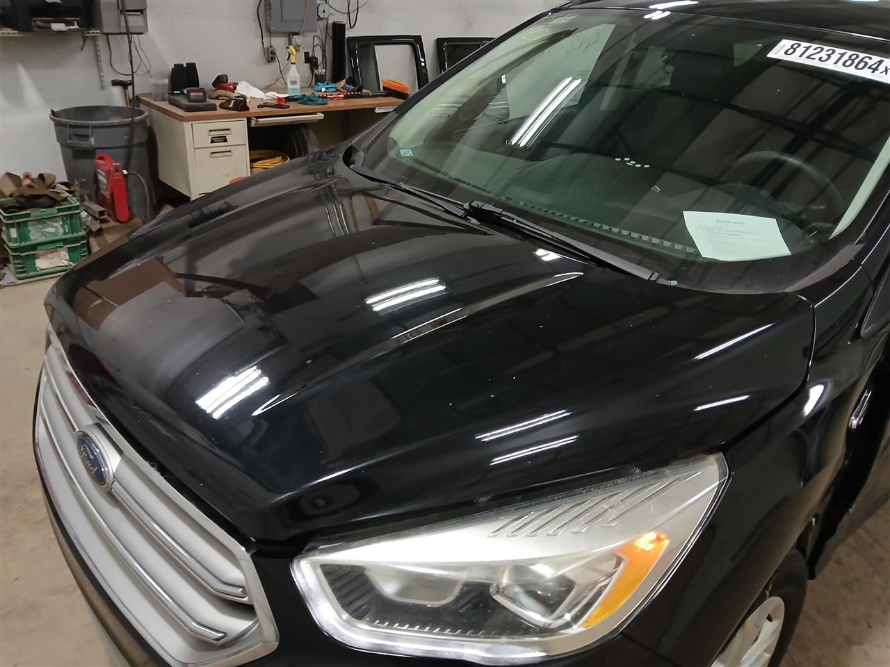 Hood Fits 17-19 ESCAPE 2972290