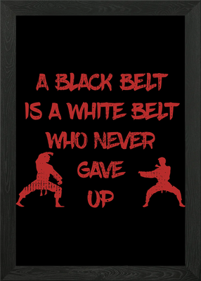 #ad #ad White Belt Black Belt Framed Wall Art Poster Canvas Print Picture GBP 29.95