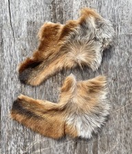 Australian RED FOX 2PC Front Legs Chrome Tanned. Taxidermy - Art - Pagan. 
