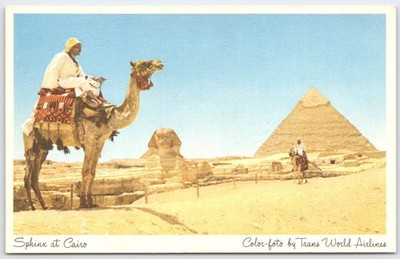 Vintage TWA Postcard Sphinx Great Pyramid Giza Cairo Egypt Camel Ride