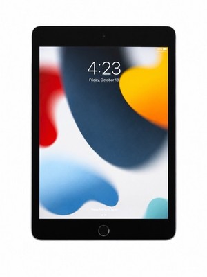 Apple iPad Mini 4 128GB  gray