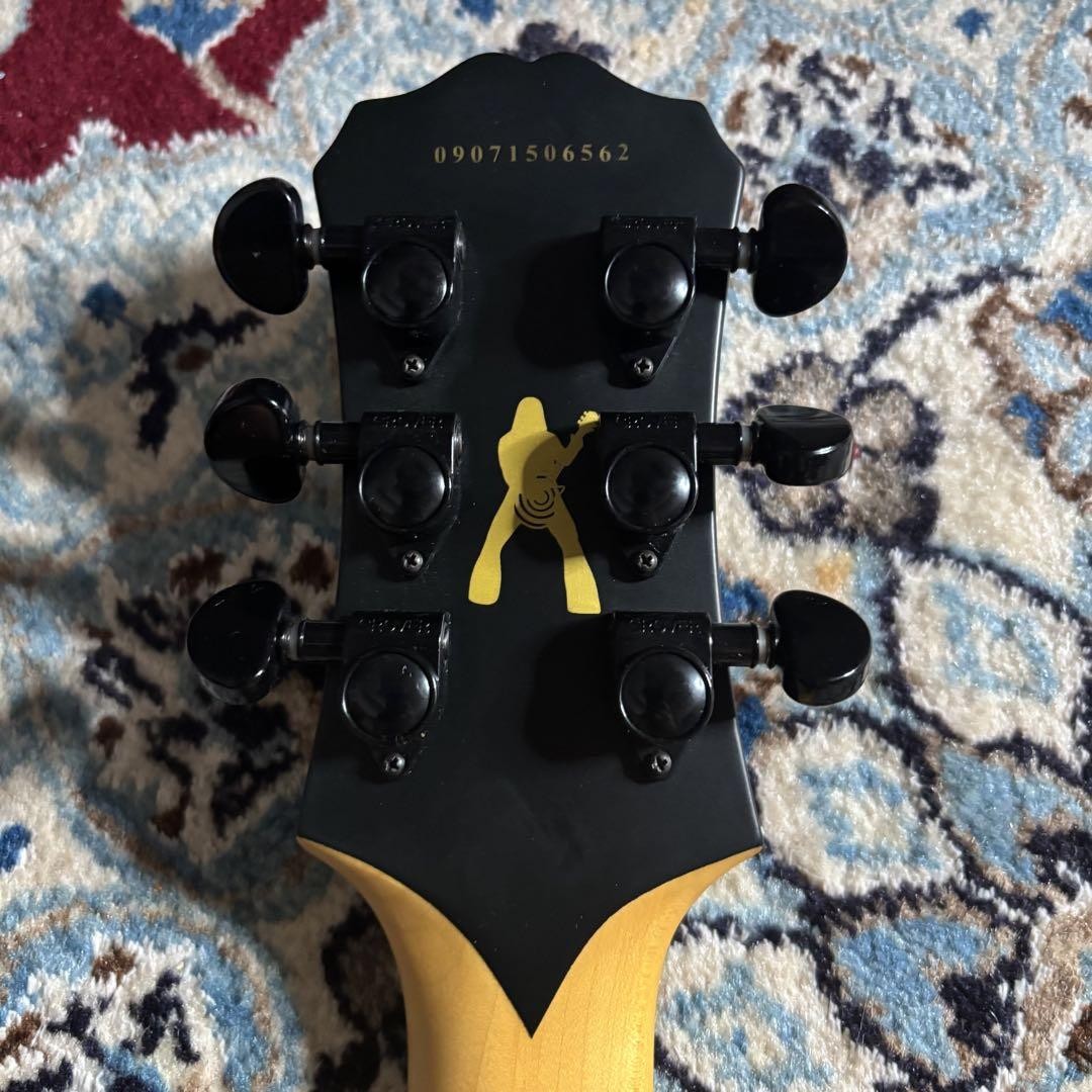 Epiphone Zv Zakk Wylde Custom Black HC付 Epiphone Zv Zakk Wylde Custom Black HC Safe Packing! | eBay