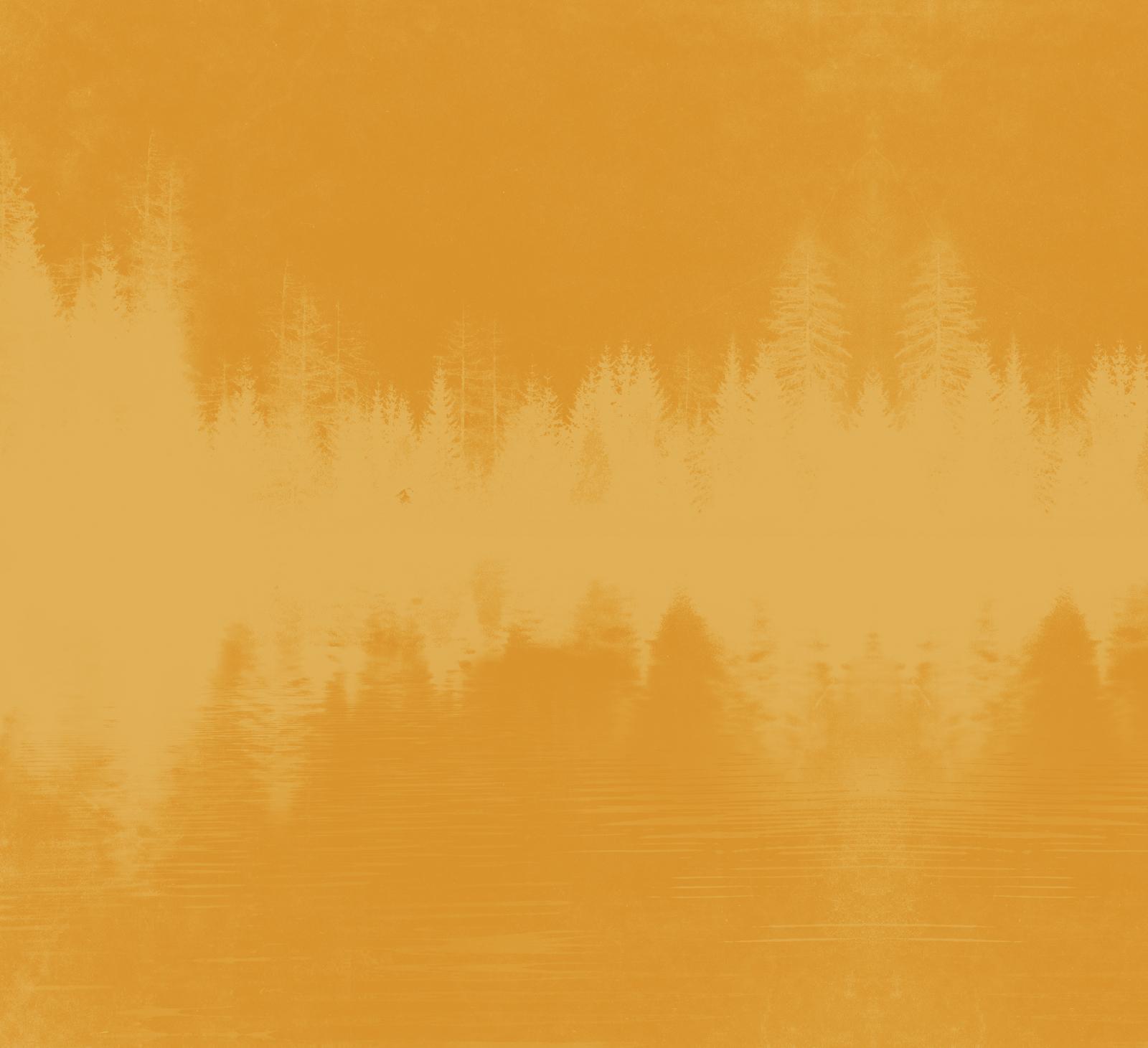 Thumbnail - Old Bones - Das Gift Der Mumie Douglas Preston