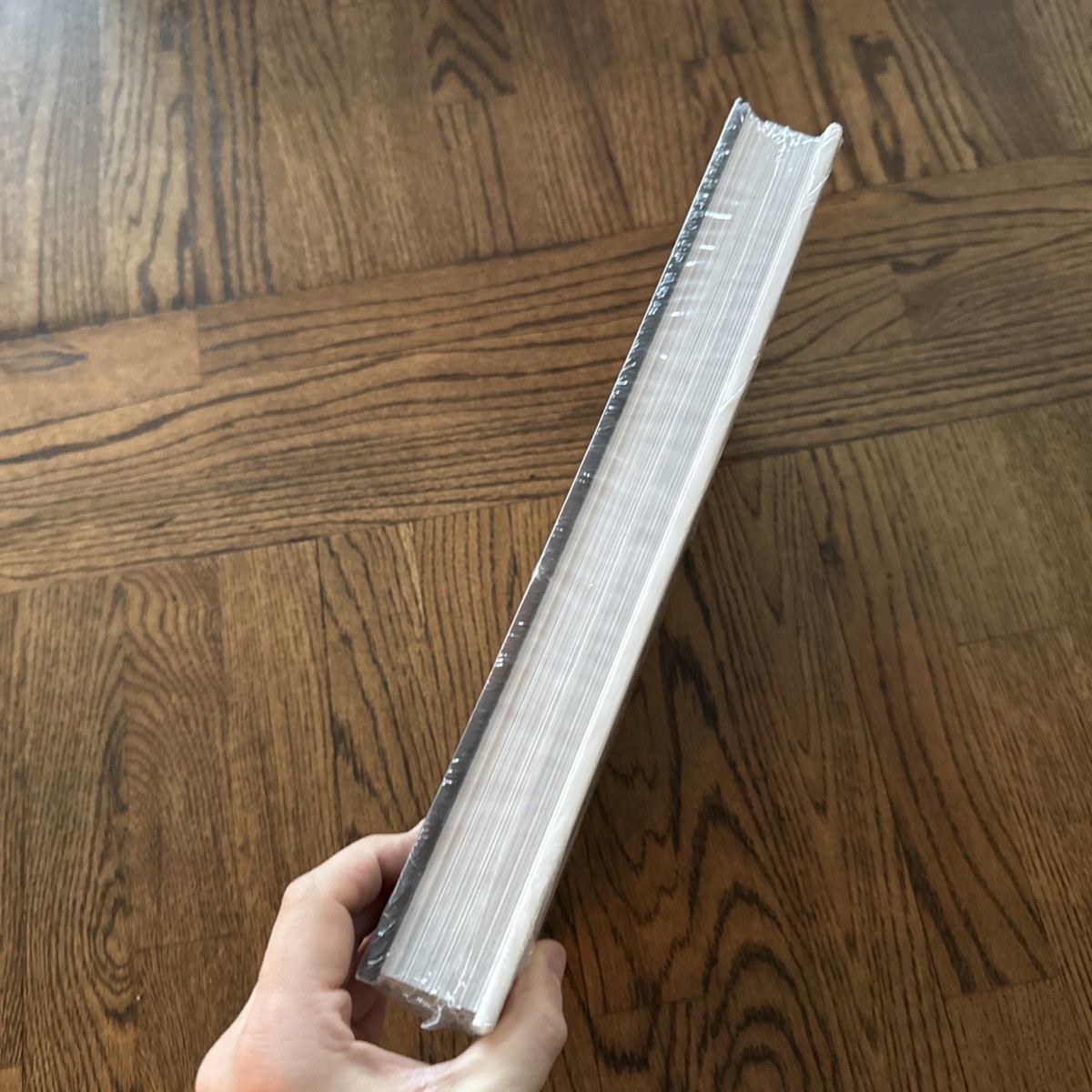 THE PEARL NECKLACE❤︎洋書 Amazon.co.jp: The Pearl Necklace