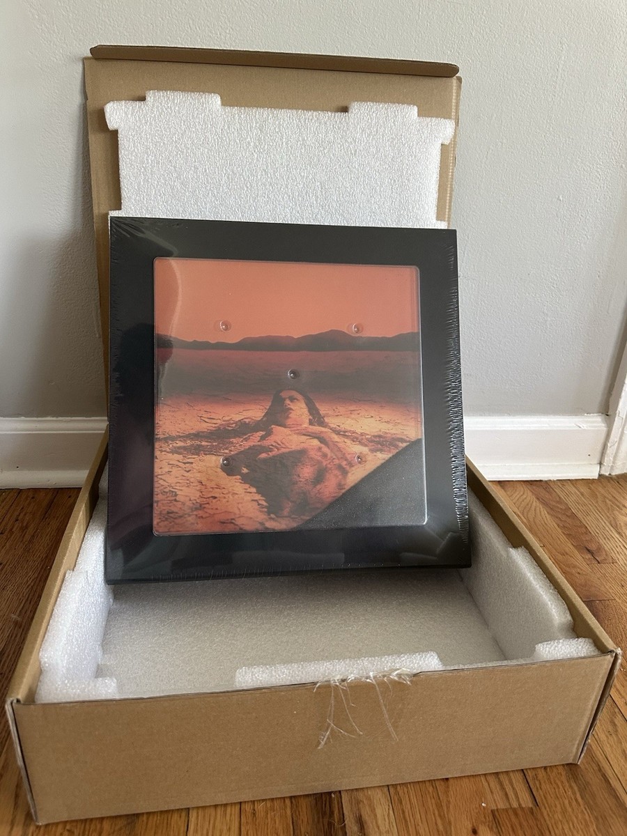 Alice In Chains – Dirt（long box付） Alice in Chains: Dirt – Victrola