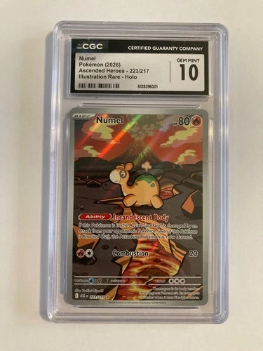 2026 Pokemon Numel Ascended Heroes 223/217 IR Holo CGC 10 GEM MINT