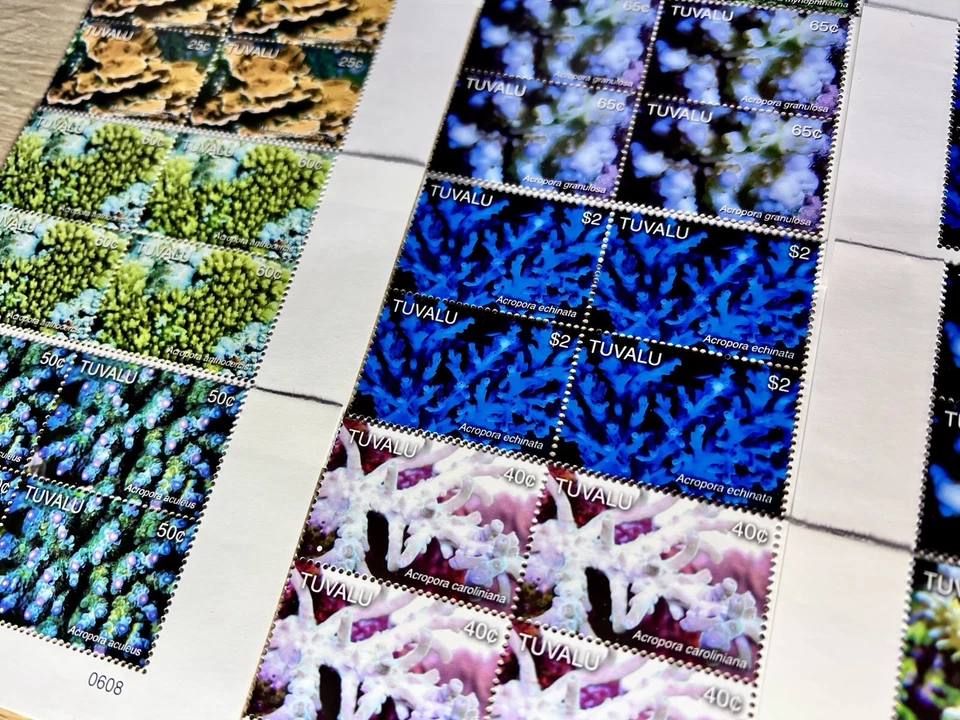 LOTE DE SELLOS A GRANEL x144 TUVALU 2006 CORALES SELLOS VIDA MARINA MNH Foto 3 de 4