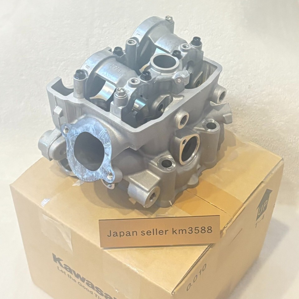 Kawasaki Genuine 2015-2016 KX250F Cylinder Head New 11008