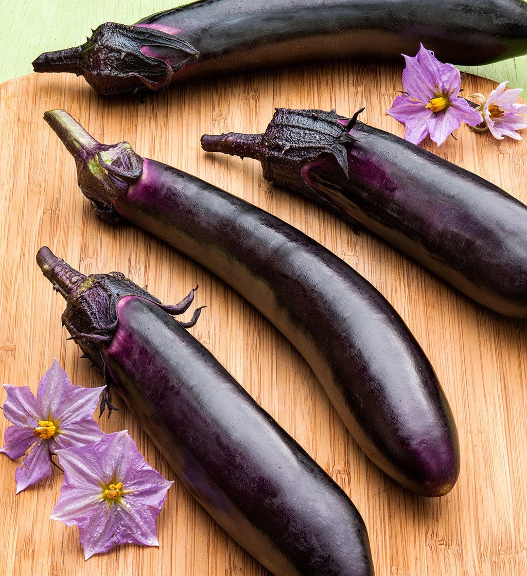 Melanzana Viserba Eggplant - Aubergine - 20+ seeds - PURPLE and TASTY! So  014