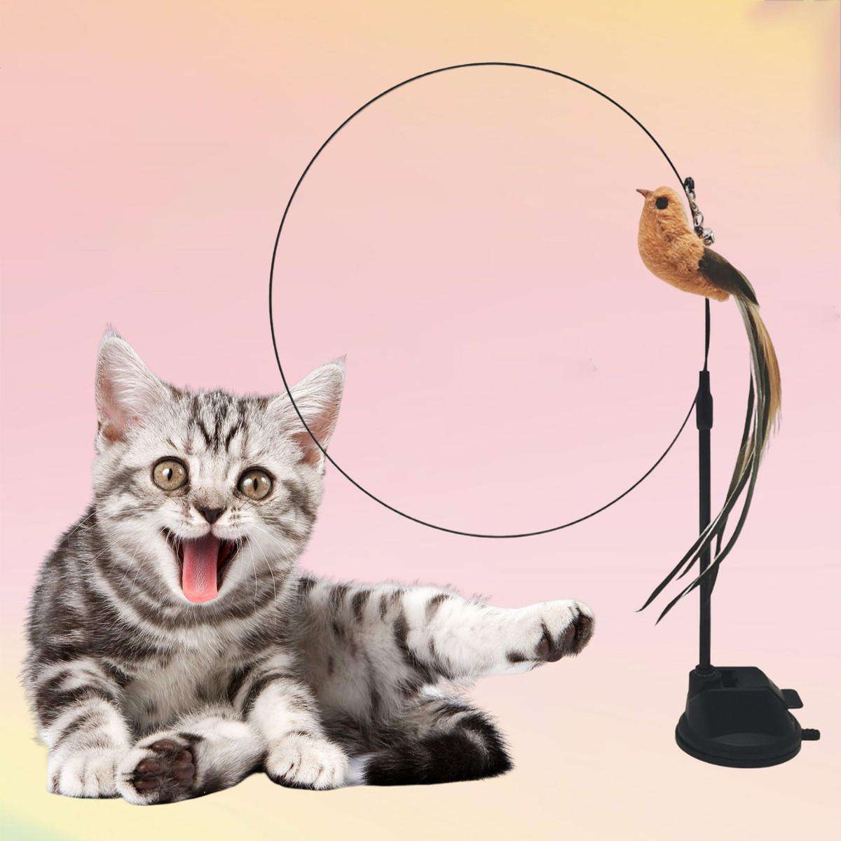 Cat Toy Feather Teaser Wand Interactive Stick Kitten Pet Fun