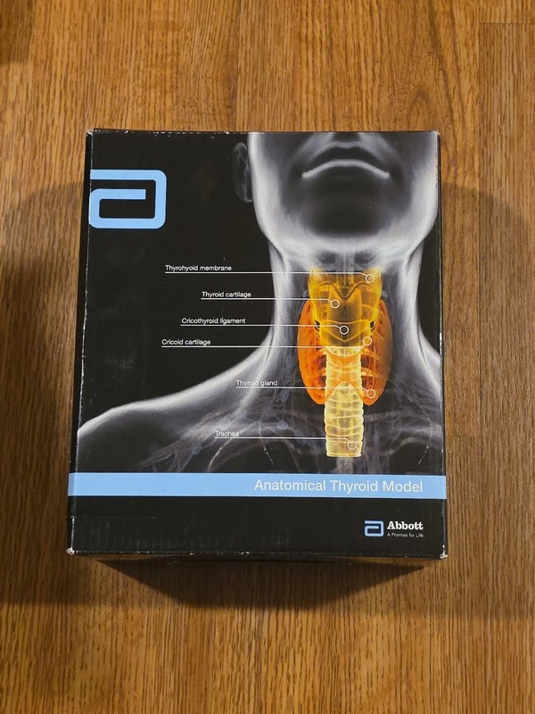 PVC Anatomical Thyroid Model w/Removeable Parts & Education Card. NEW !!!