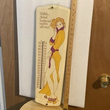 VTG ARNEL CLEANESE WOMENS CLOTHING UNDERWEAR PIN UP LINGERIE THERMOMETER SIGN