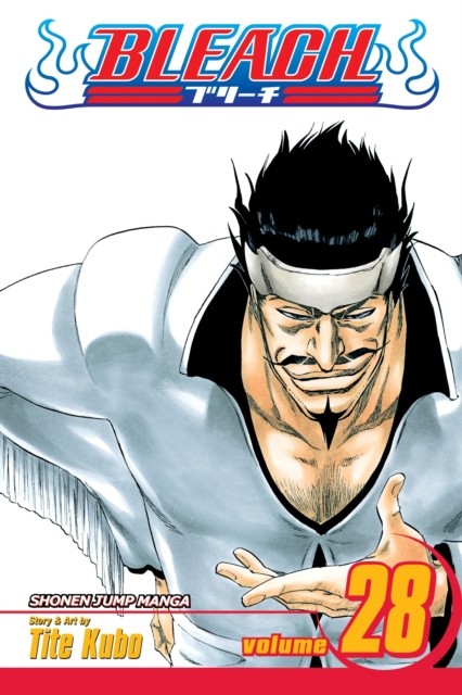 Bleach Vol. 28 by Tite Kubo PAPERBACK 9781421523866 - Image 3
