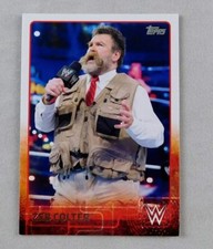 Zeb Colter WWE Wrestling Trading Card Topps Raw WWF AEW #87 Dutch Mantel 