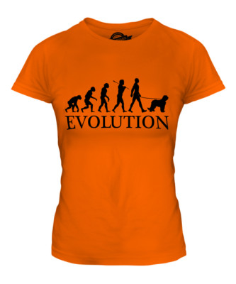BRIARD EVOLUTION OF MAN LADIES T-SHIRT TEE TOP DOG LOVER BERGER GIFT WALKER