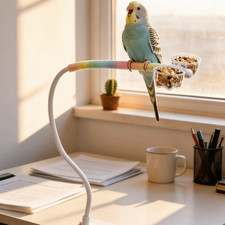 Support perchoir à oiseaux de bureau résistant aux morsures divertissement pour oiseaux