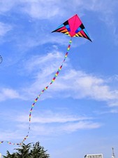 Large 160cm Delta Kite with 50m Line Rainbow Nylon Kids Outdoor   