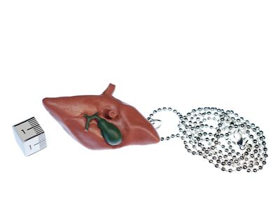 Anatomie Halskette Lunge – 80 Cm, Detailliert, Aus Hartgummi, Versilbert