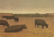 RUSSELL CHATHAM Winter Pasture