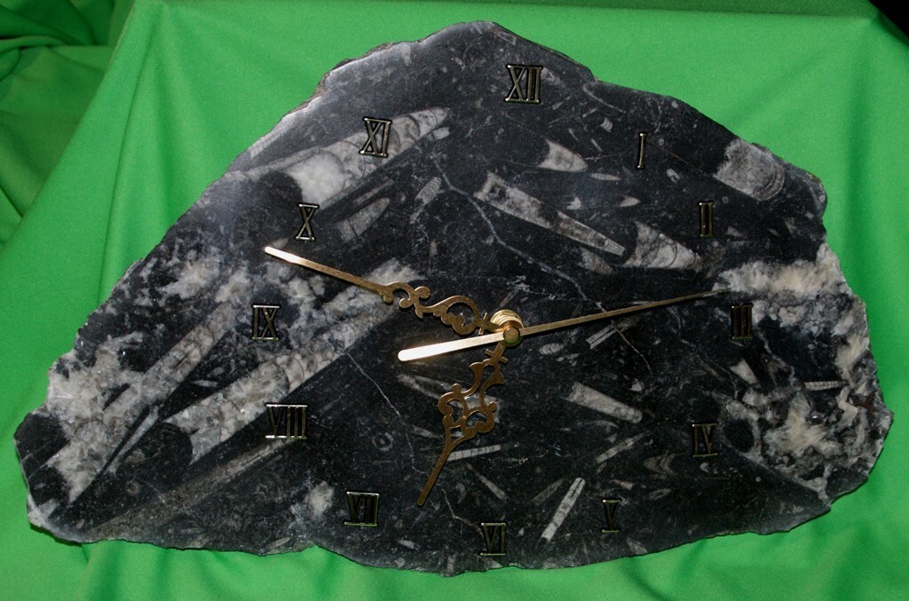 Horloge en fossiles d'orthocères véritables 35x22 cm