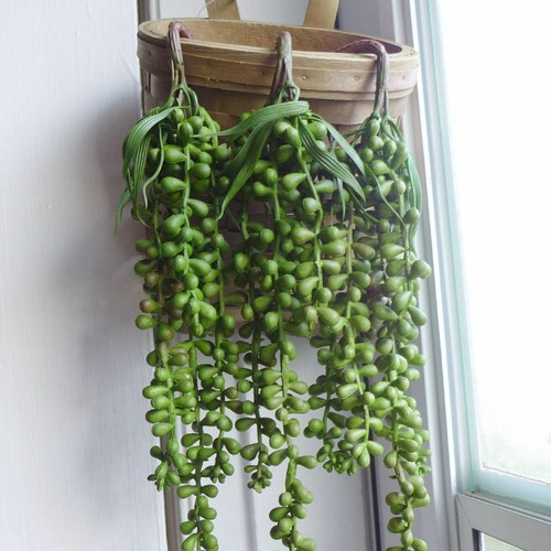 Artificial Hanging Plant Fake Vine Ivy Succulents String of Pearls Home Decor US