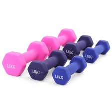 10 kg Vinyl Hantelset 2x1kg 2x1,5kg 2x2,5kg Kurzhanteln für Fitness Aerobic Reha