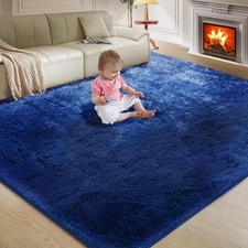 Ultra Soft Rug for Living Room, 5X7 Fluffy Shag Area Rug for Bedroo... Fast Ship