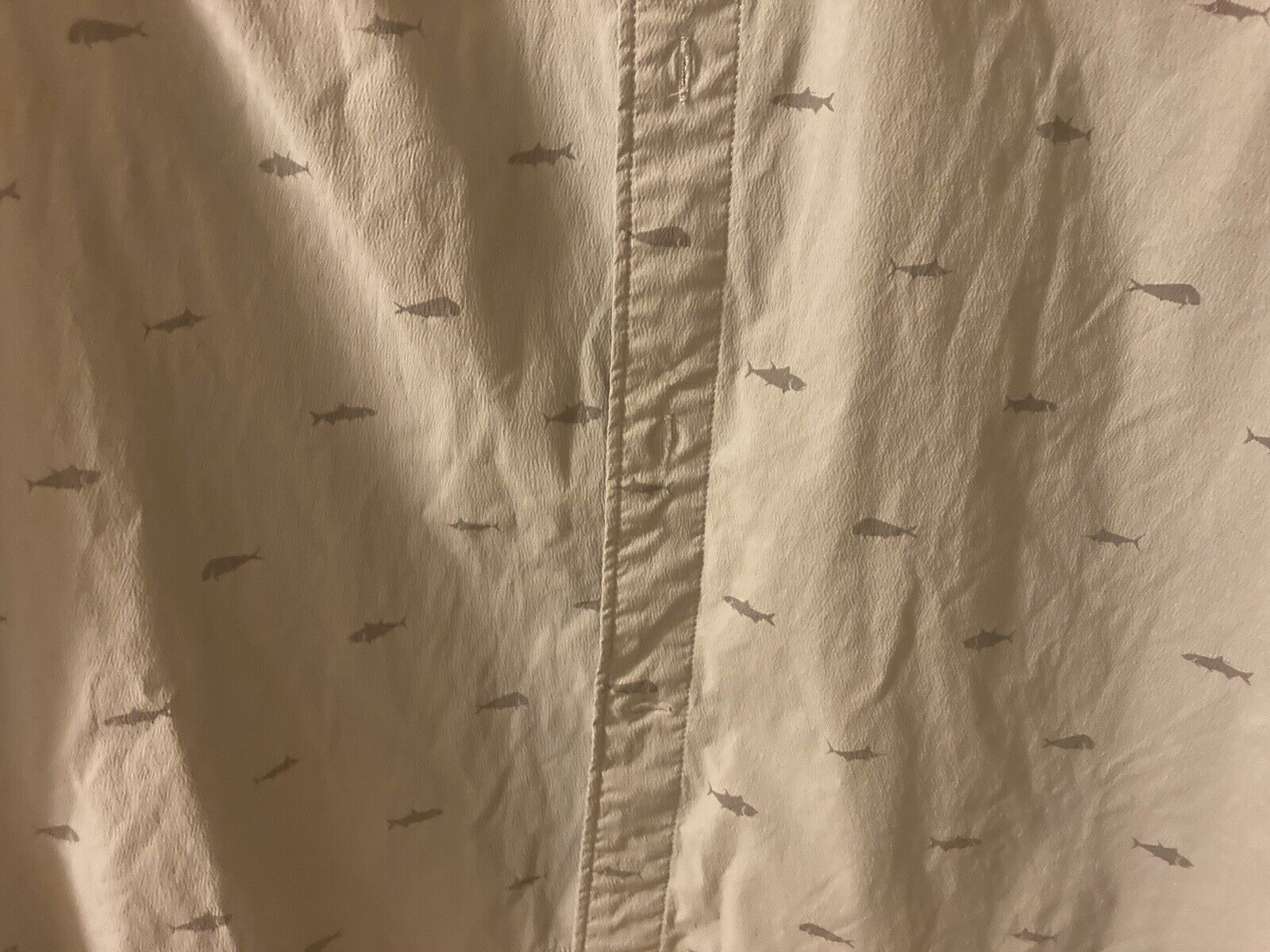 Picture 5 of 5