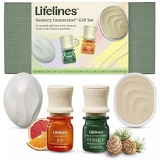 Lifelines Sensory Immersion Essential Oil 4p Set ENERGY &JOY Oils Diffuser Stone