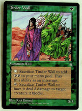 Tinder Wall - Ice Age - 1995 - Magic the Gathering