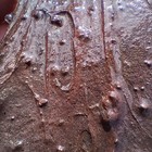 Bild 5 von 24