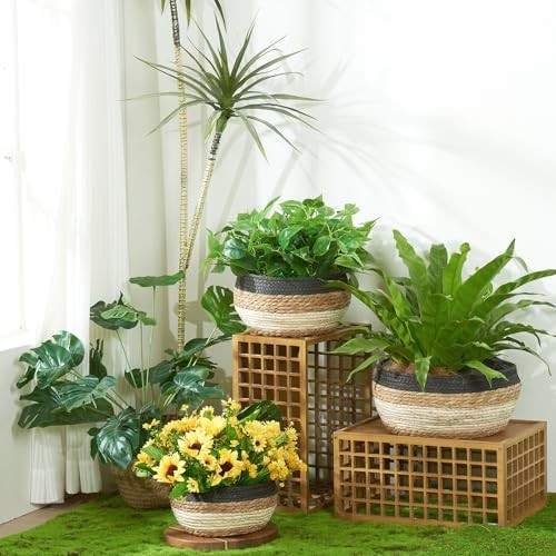 Planter Baskets Indoor Plant Pot Set of 3 with Plastic Lining Medium Seagrass - Picture 6 of 8
