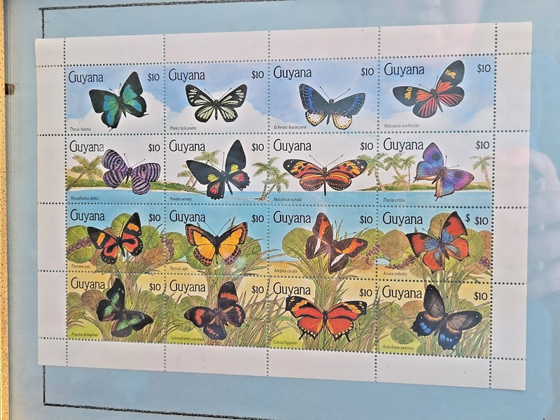 16 stamps GUYANA BUTTERFLIES Butterfly stamp Stamps Full Sheet $10