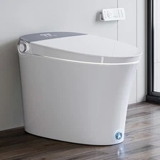 HOROW Smart Toilet Bidet Built-in Water Tank Auto Flush Warm water Dry UV