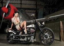  RAT ROD HOT ROD VINTAGE RACING RAT FINK  PIN-UP  STICKER CHOPPER  TOOL BOX 