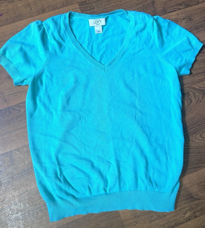 Ann Taylor Loft Top- Petite M