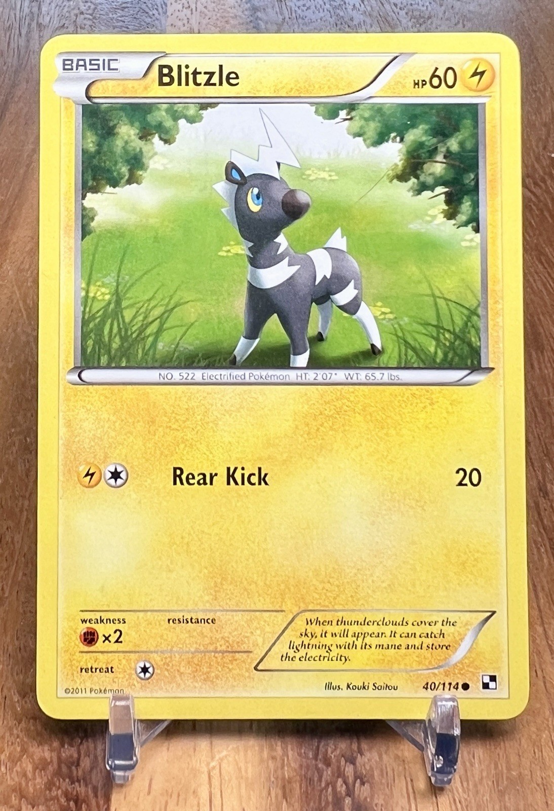 Blitzle 40/114 Common Pokemon Black and White