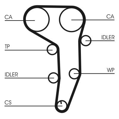 ✅Fits CONTITECH CT1051 Timing Belt ⭐UK Seller⭐ - Picture 3 of 9