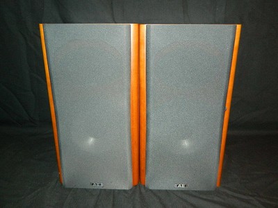 acoustic energy aesprit 300