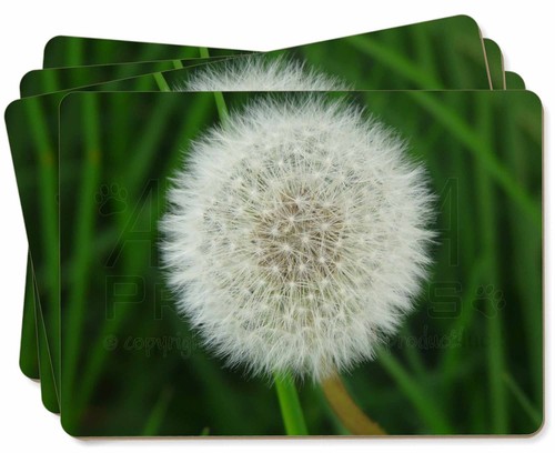 dandelion fairy picture placemats in gift box, fl-7p