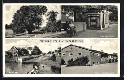 Postcard Nusse/Lauenburg, old beech, Unter den Linden, savings and loan fund 